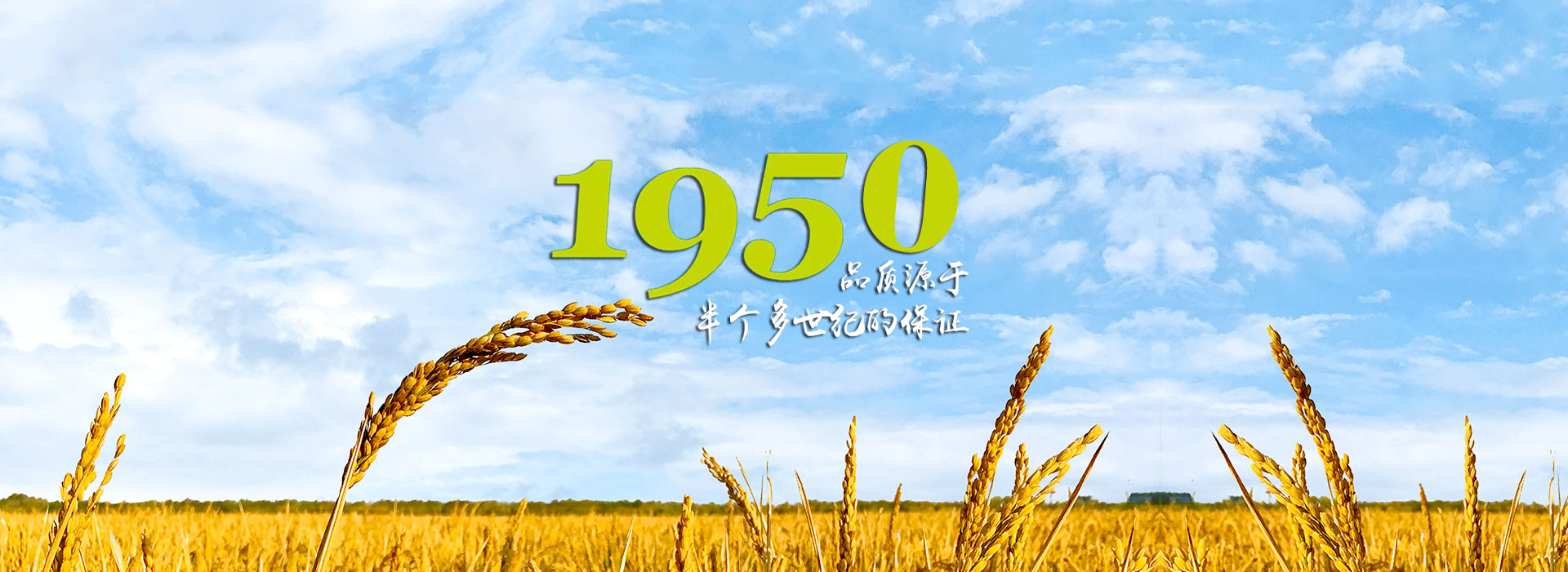 斗式提升機(jī)