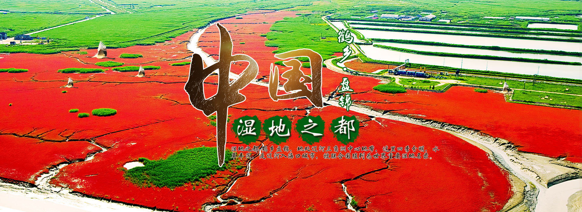 z型斗式提升機(jī)